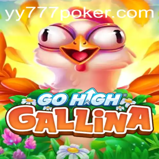 GoHighGallina: Unveiling the Thrilling World of Yy777